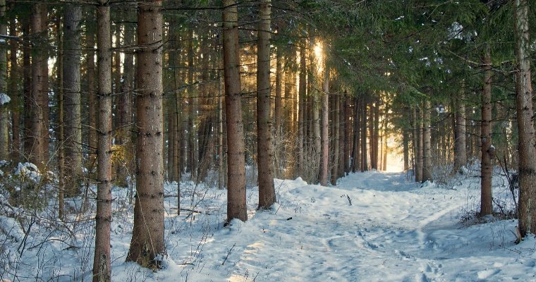В Ижевске рассказали о состоянии здоровья найденного замерзшим в лесу мальчика