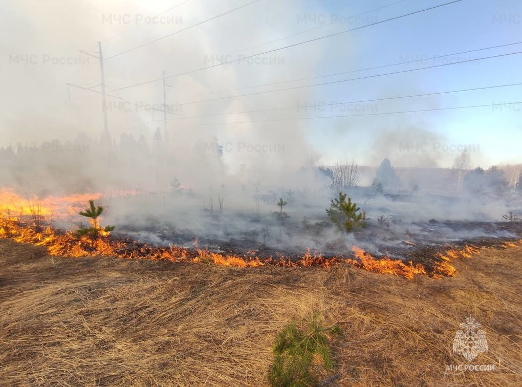 Огнеборцы рассказали о ликвидации ландшафтного пожара на Союзной в Ижевске