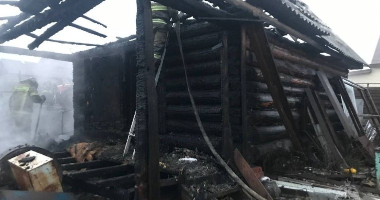 20 куриц погибли в пожаре в Завьяловском районе  