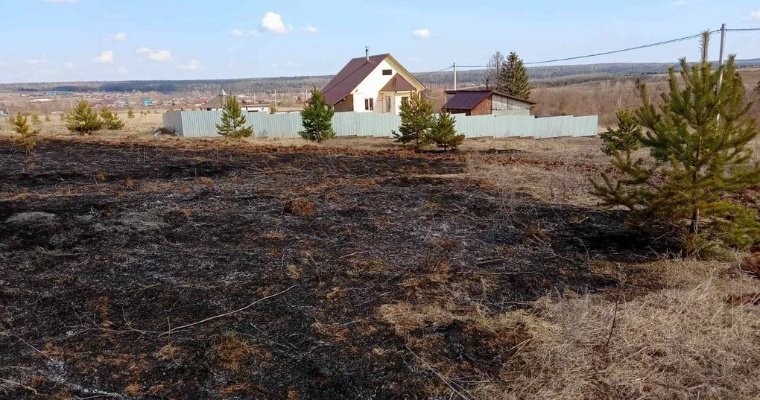 В Удмуртии за три дня выявили 10 случаев горения сухой травы
