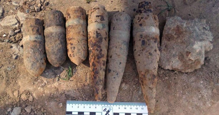 Артиллерийские снаряды обнаружила жительница Удмуртии на своём участке