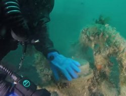 В Интернете появилось видео с затонувшего недалеко от Крыма корабля XIX века