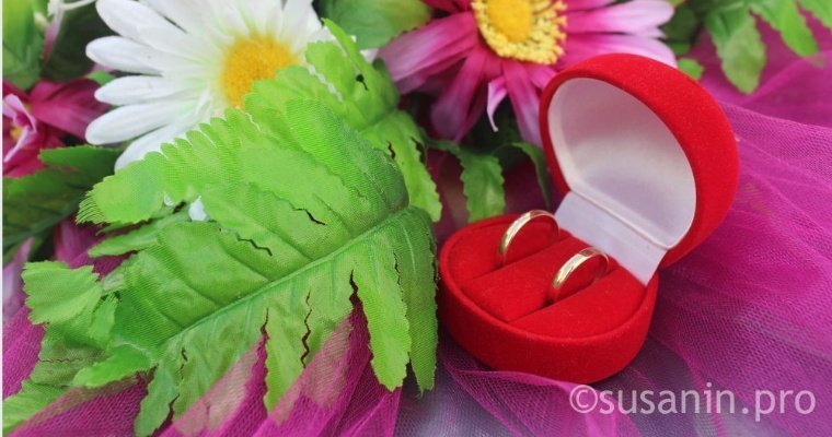 67 пар планируют сыграть свадьбу в Удмуртии в «красивую» дату 20 февраля