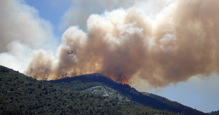 Кипр просит международной помощи из-за сильных лесных пожаров
