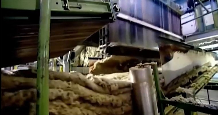 Новый завод появится в Завьяловском районе