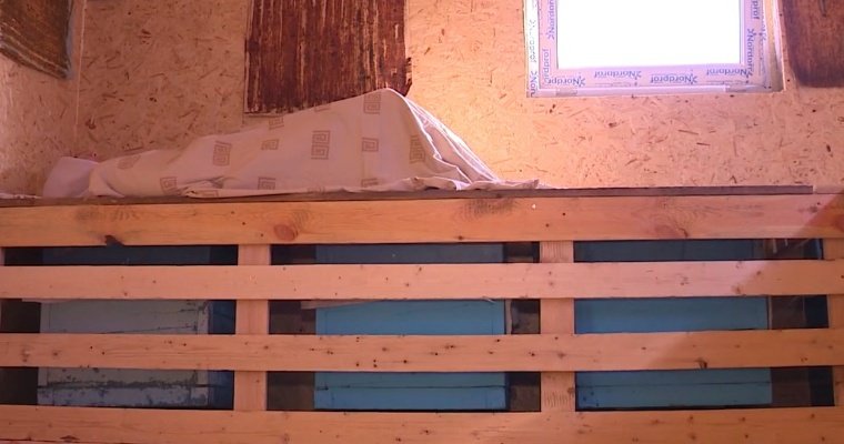 Сон на ульях: пчеловоды Удмуртии планируют развивать апитуризм в регионе