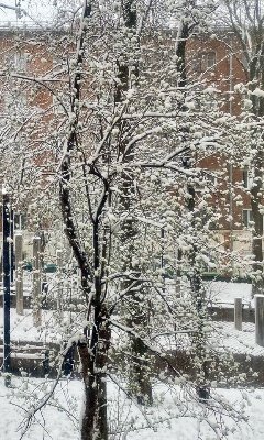 Дожди со снегом пройдут в Удмуртии в первые дни ноября