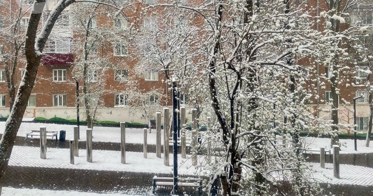 Дожди со снегом пройдут в Удмуртии в первые дни ноября