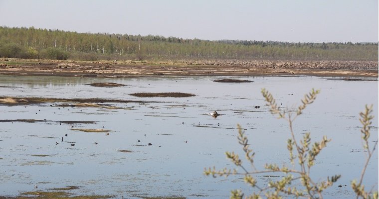 В Кезском районе Удмуртии высыхает местный пруд