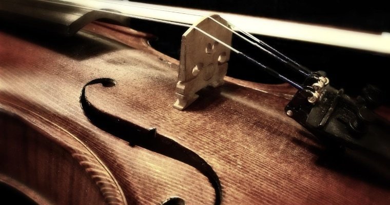 Скрипку Страдивари могут продать за рекордные 20 млн долларов