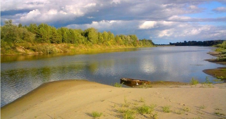 Школьница из Удмуртии утонула на реке Вятке в Кировской области