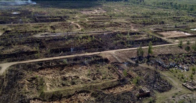 Пожар на территории бывшего арсенала в Пугачёво ликвидирован