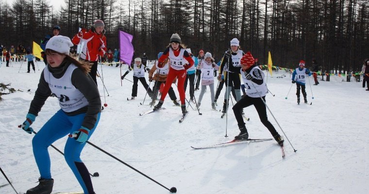 В Сарапуле возобновилось строительство спортивной трассы «Светлая лыжня»