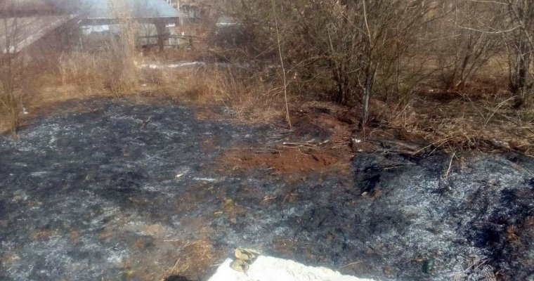 Более 17 000 квадратных метров земли сгорело в Удмуртии за сутки