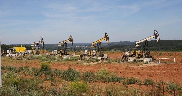«Удмуртнефть» добыла 90 млн тонн нефти на южных месторождениях