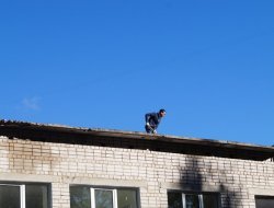 Ремонт плоских крыш в школах и садах Ижевска завершат не позднее 30 сентября