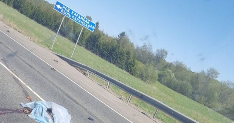 Переходивший трассу пешеход погиб в Удмуртии