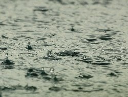 Небольшие дожди ожидаются в Удмуртии 8 ноября
