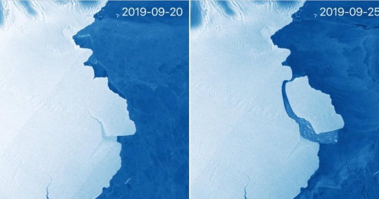 В Антарктиде откололся самый крупный за последние 50 лет айсберг