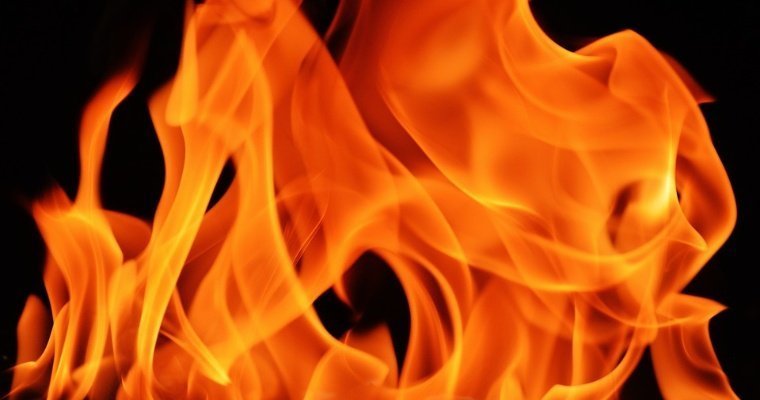 Проснулись от шума извещателя: многодетная семья спаслась из пожара в Удмуртии