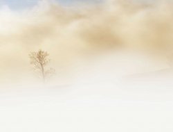 Туман в Удмуртии сохранится во вторник