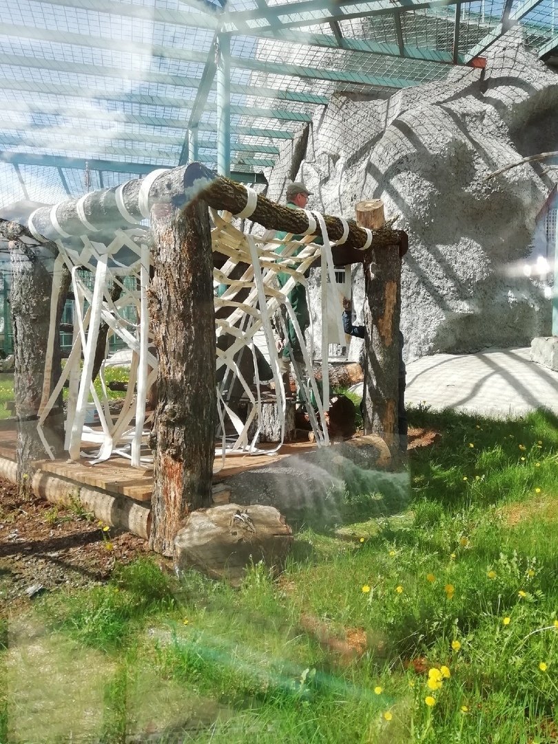 Всё в дом: гамак для орангутана в зоопарке Ижевска сплетут из отслуживших пожарных рукавов