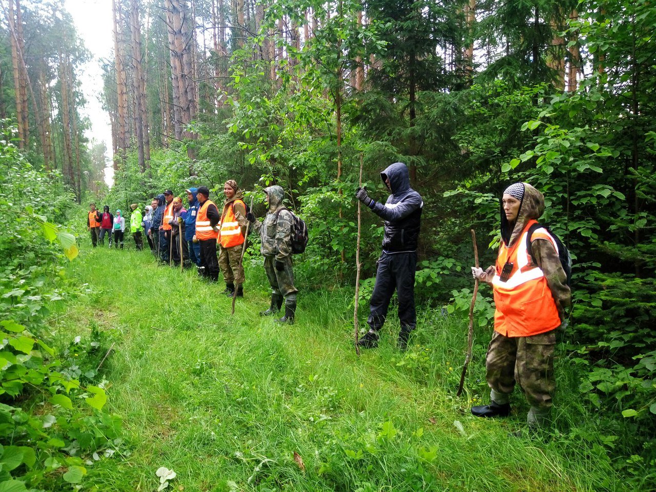 Искать лес. Лиза Алерт лес. Волонтеры в лесу. Поисковый отряд в лесу. Поисковая группа в лесу.