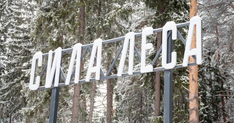 Новое общественное пространство «Ритм леса» откроют в Воткинске 16 декабря 