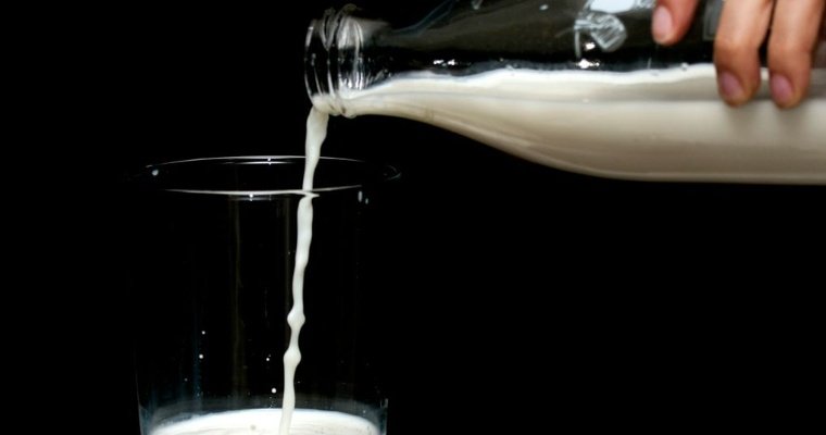 Удмуртия вошла в топ-5 регионов России по производству молока