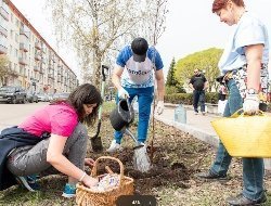 Сотрудники Датабанка высадили молодые яблони на аллее в центре Ижевска