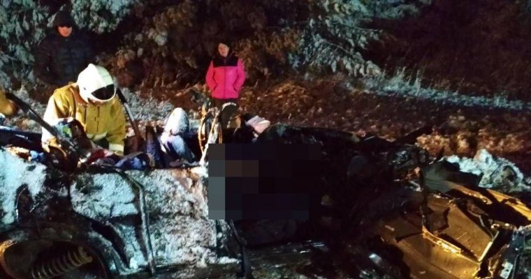 МВД: водитель авто, в котором погибла семья из Удмуртии, не справился с управлением