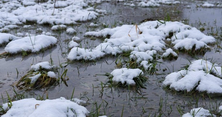 Снег с дождём ожидаются в Удмуртии в пятницу