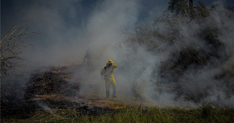 Пожар на закрытом мусорном полигоне в Можгинском лесничестве потушен