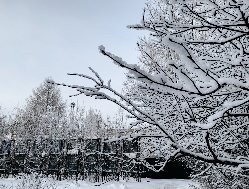 8 февраля в Удмуртии возможен небольшой снег