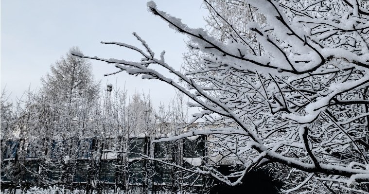 8 февраля в Удмуртии возможен небольшой снег