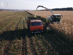На полях «Русской нивы» в Удмуртии закончилась уборка кукурузы