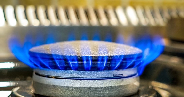 Газовщик в Удмуртии получил условный срок за отравление газом двух человек