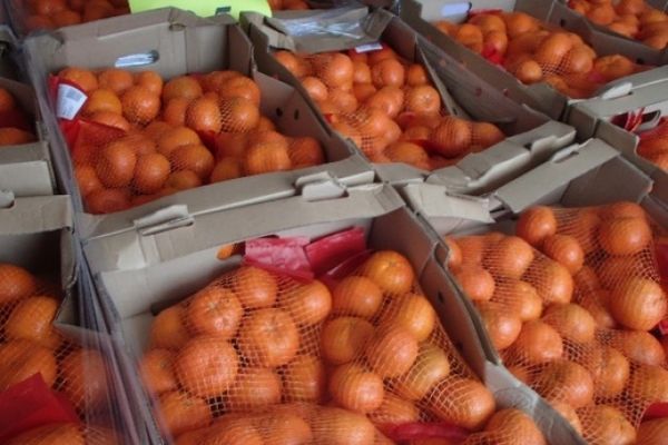 Партию мандаринов из Турции под видом египетских задержали в Удмуртии