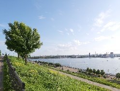 Итоги дня: попытка угона яхт на Ижевском пруду и начало скашивания борщевика в Ижевске