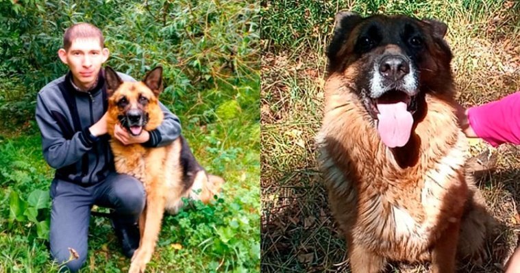 Две служебные собаки УФСИН Удмуртии вышли на пенсию