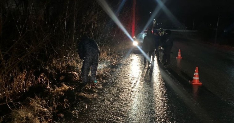 В Завьяловском районе водитель «Митсубиси» сбил женщину насмерть