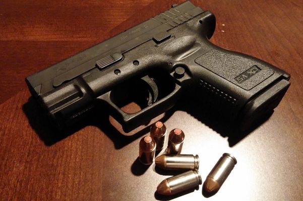 Более 20 выходцев из Чечни задержали в Вене