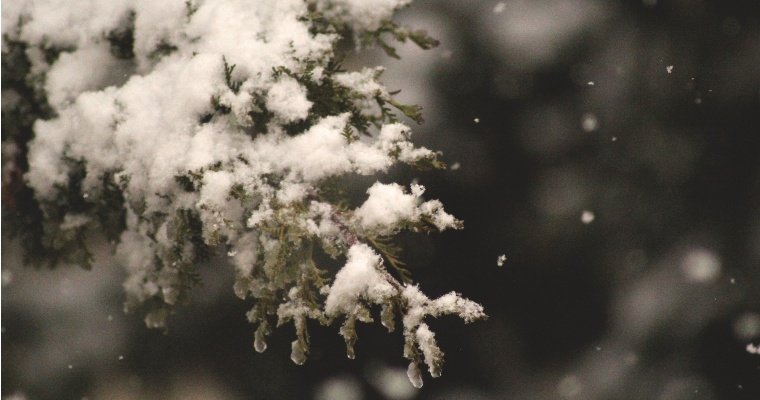Умеренный снег выпадает в Удмуртии в первый день зимы 