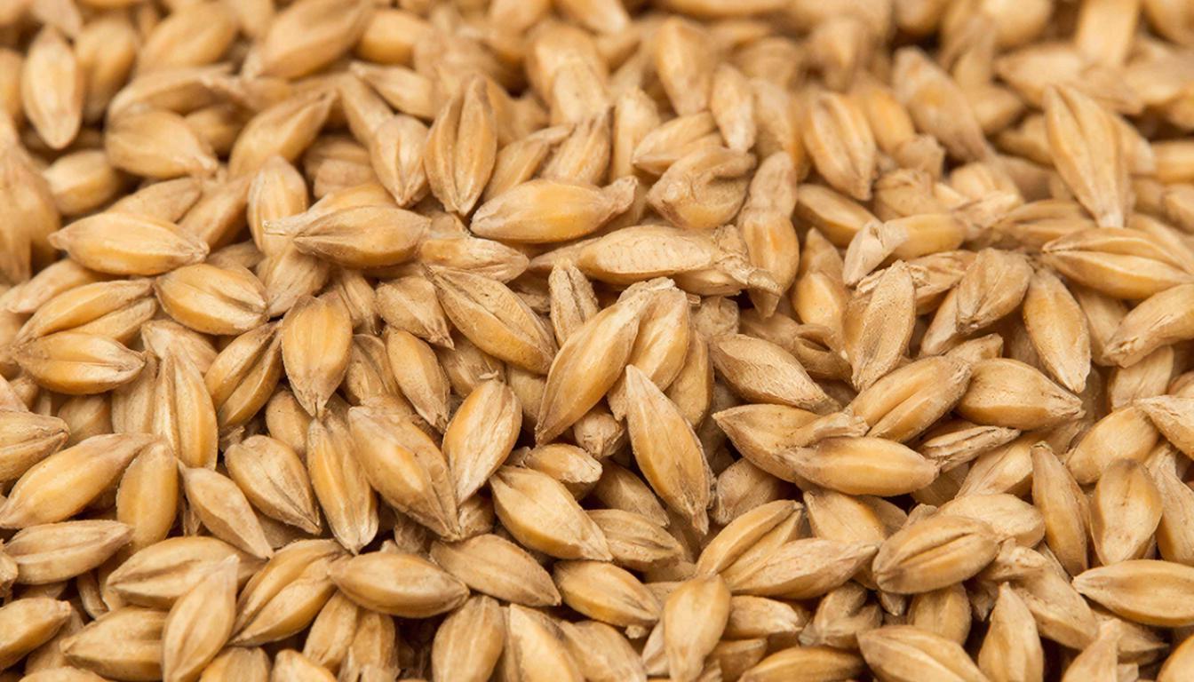 В Удмуртии выявили 1 200 тонн недостоверно задекларированного зерна