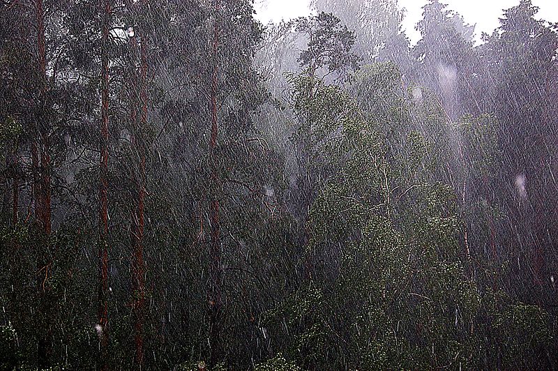 Сильные дожди и ветер ожидаются в Удмуртии во вторник