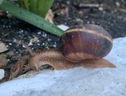 27 августа воздух в Удмуртии прогреется до +21 градуса 