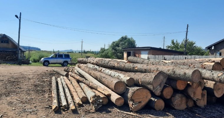 Более 300 пунктов переработки древесины легализовали в Удмуртии 
