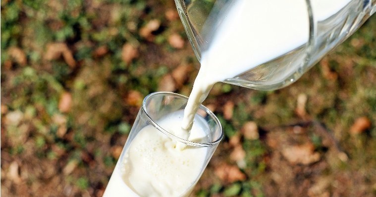 Удмуртия вошла в пятерку регионов страны по производству молока