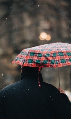 Небольшие дожди пройдут в Удмуртии в четверг