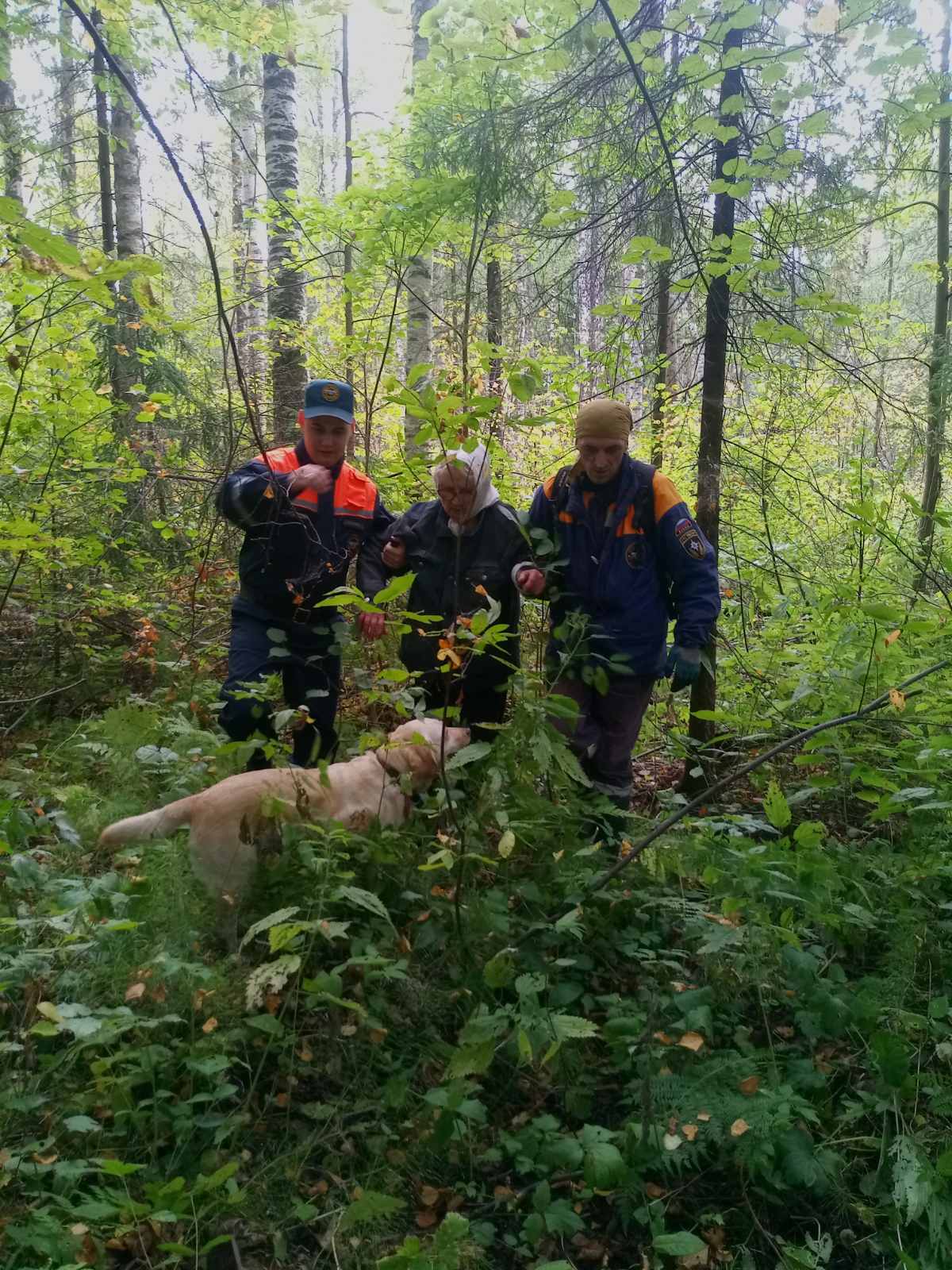 В Удмуртии сутки блуждавшую в лесу пенсионерку нашли волонтеры с собакой